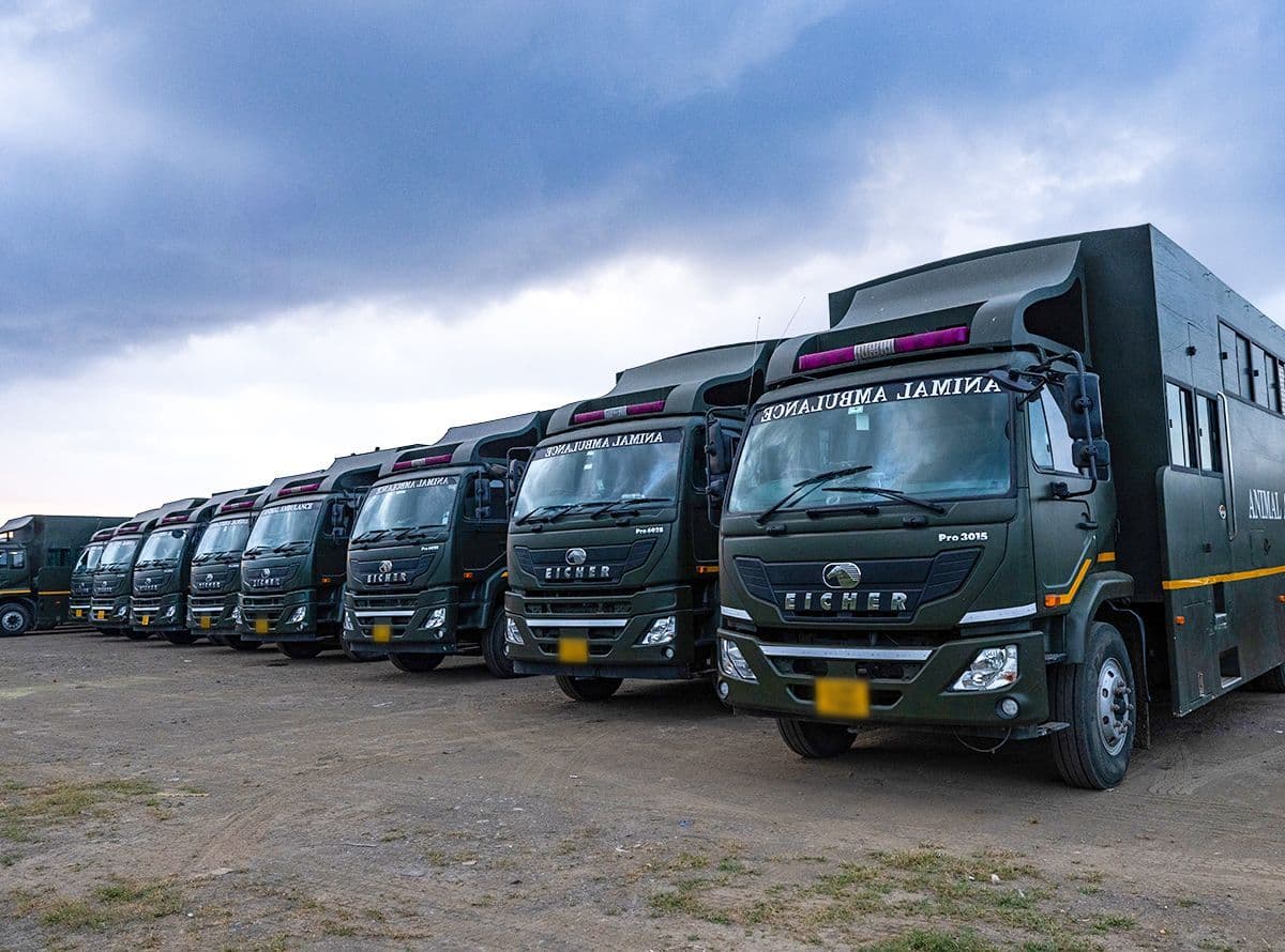 Fleet of Animal Ambulances at Vantara.