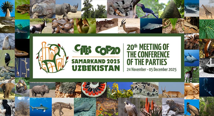 CITES affirms Vantara as a Lawful Global Hub of Conservation Excellence for Wildlife