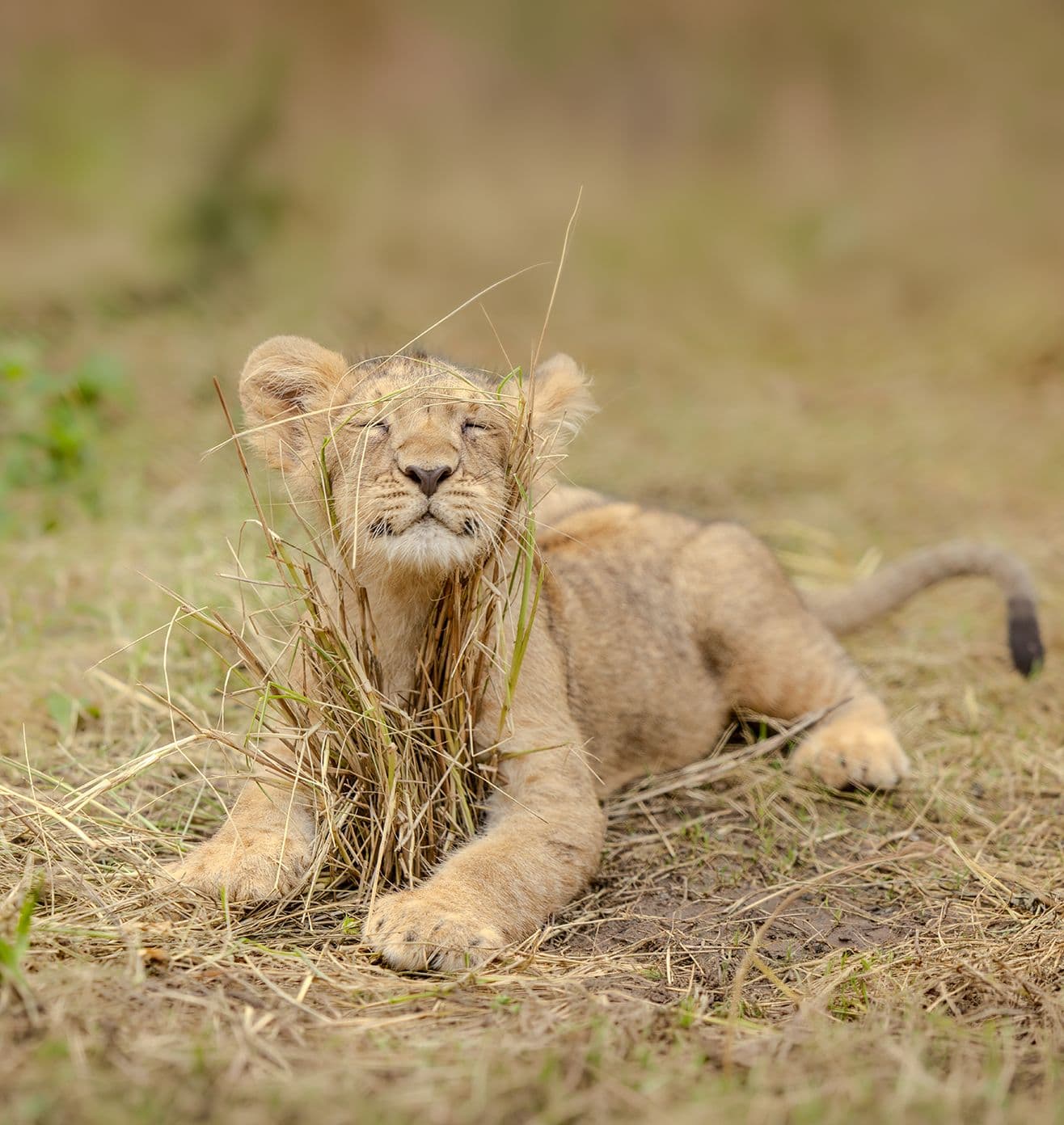 Rehabilitation & Support - Core Initiative at Vantara