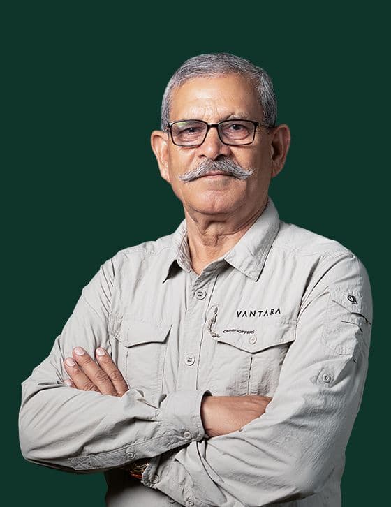 Mr. Dariya Singh Poonia - Support Functions Team at Vantara