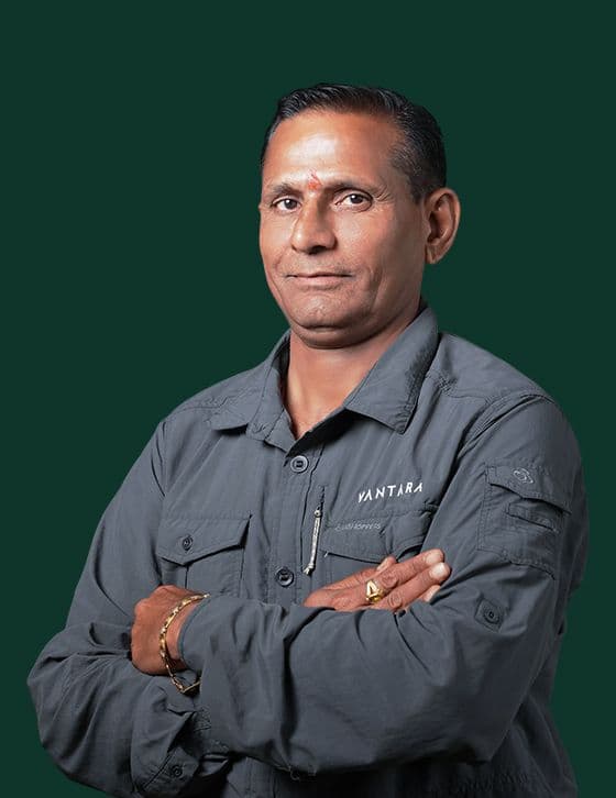 Mr. Dhala Ram Dewasi - Operations Team at Vantara