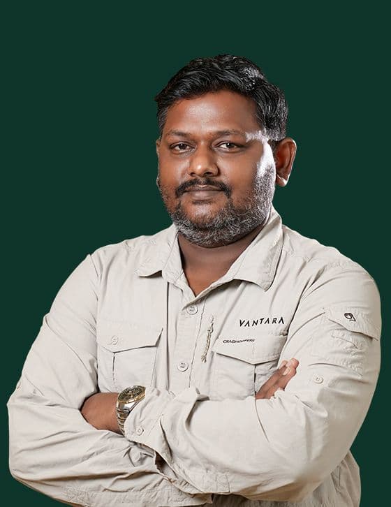 Dr. Manibalan. S - Animal Care Team at Vantara