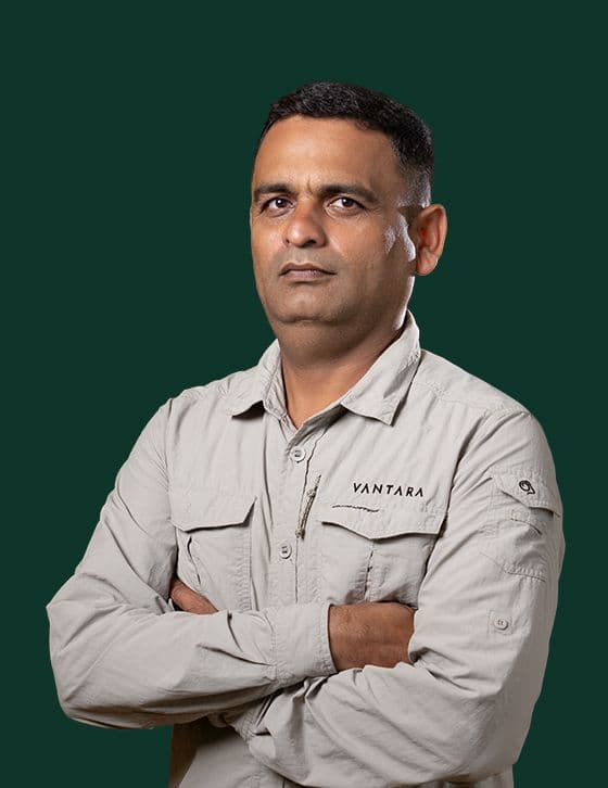 Dr. Mukundraj Raut - Animal Care Team at Vantara