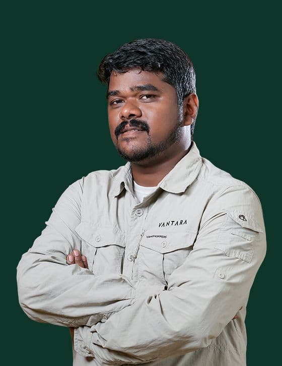 Dr. Silambarasan - Animal Care Team at Vantara