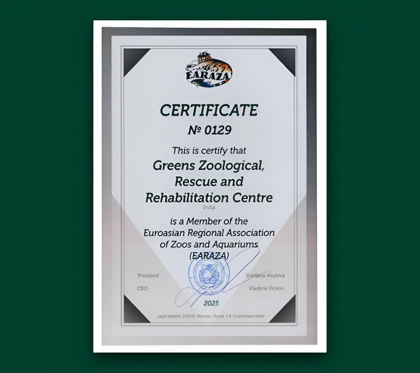 Global Zoo Collaborations