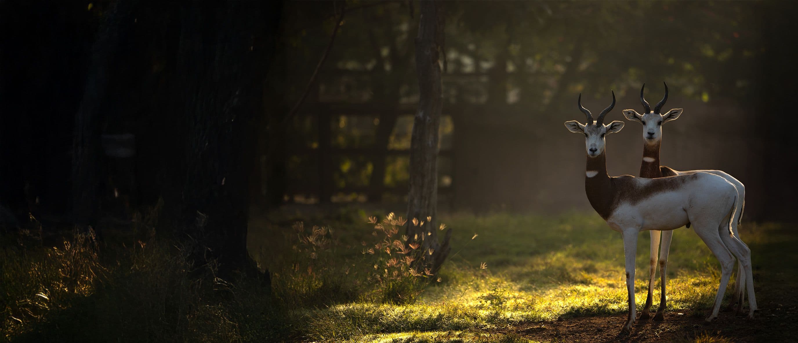 Get in touch with Vantara team.