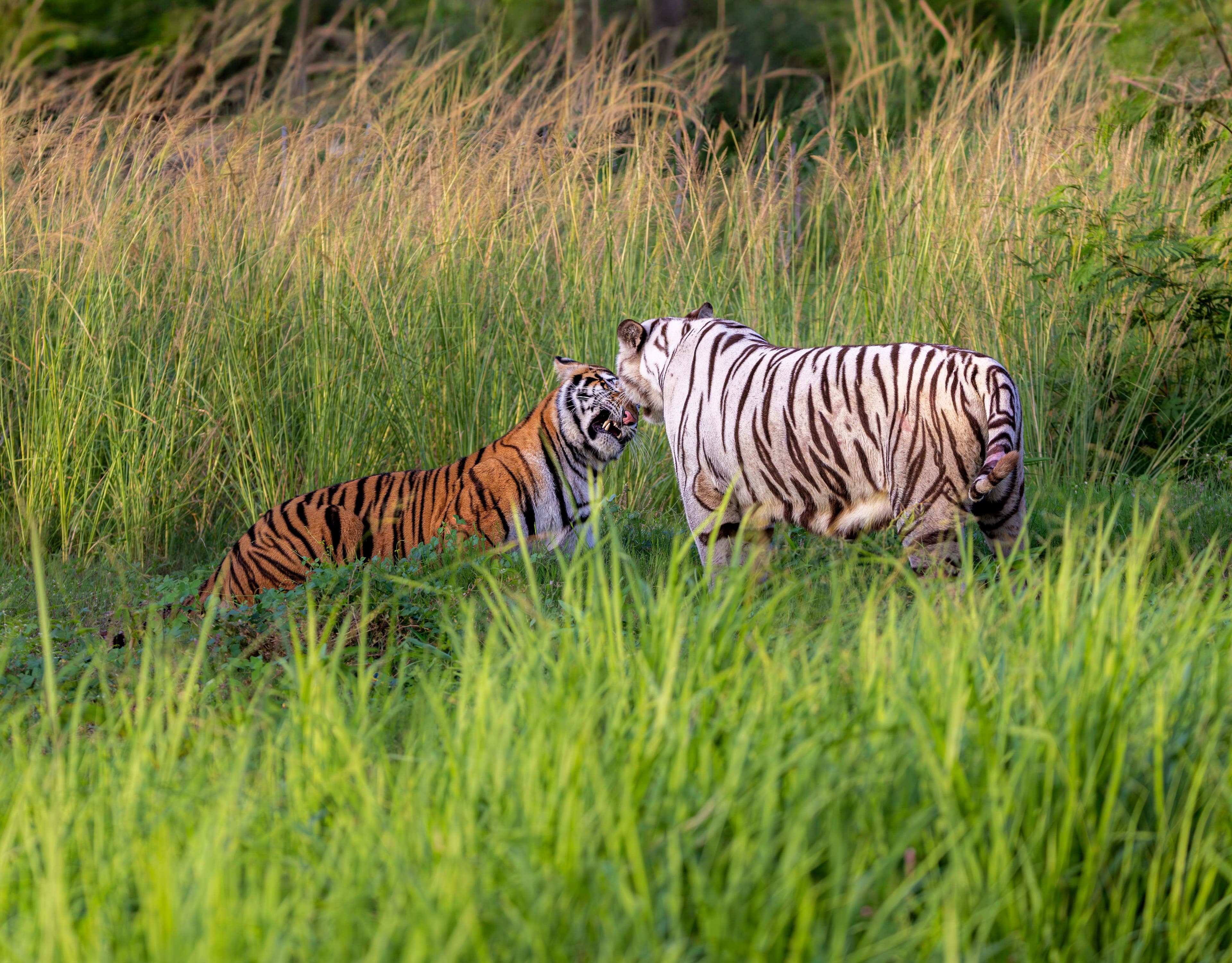 Get in Touch with Vantara team.