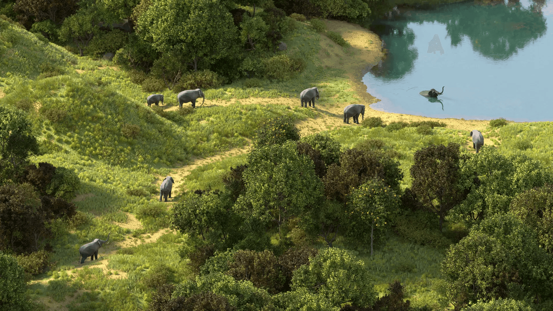 Kingdom of Elephants