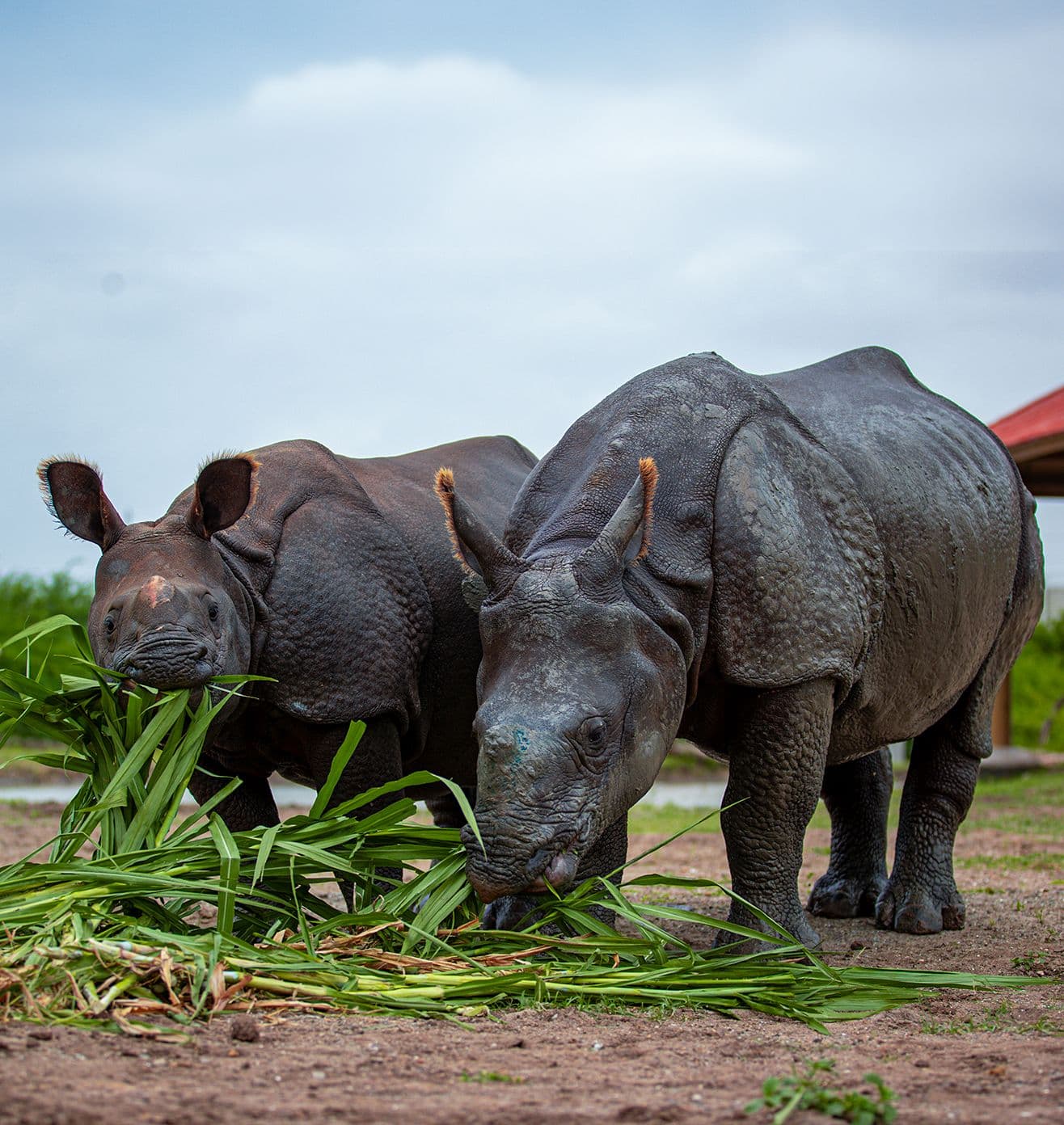 Nutrition enhanced with Science