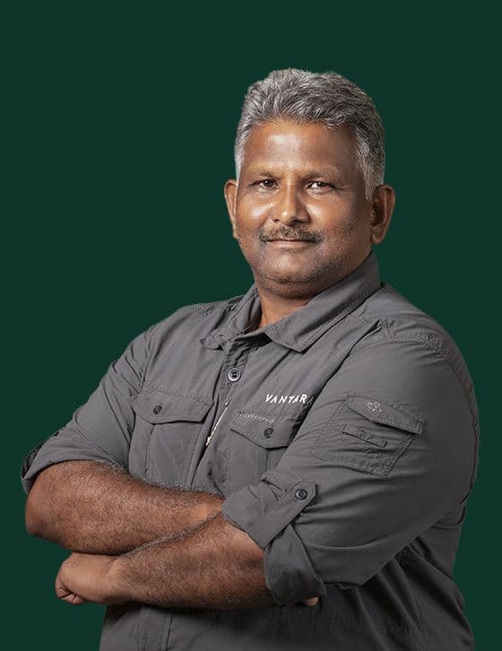 Mr. Sher Singh Tulsi - Operations Team at Vantara